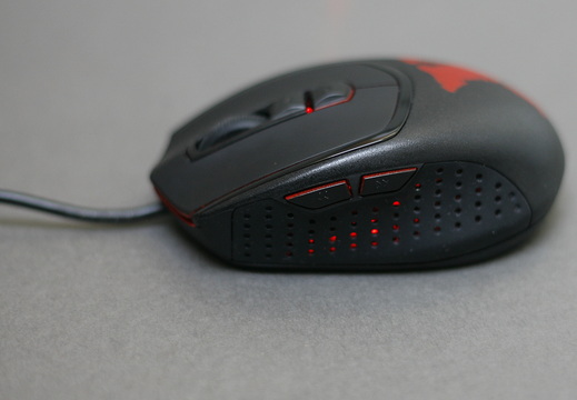 CM-xornet-5
