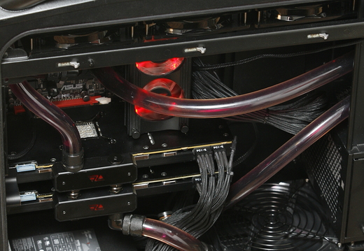 SS-black-6